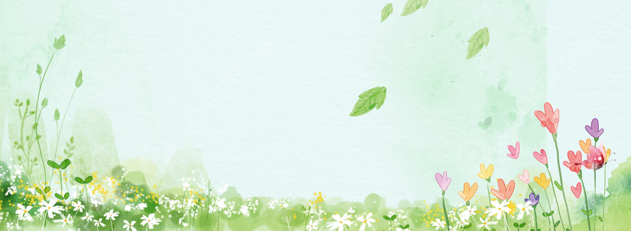 이미지탭 이미지